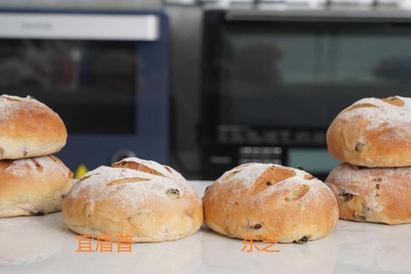 廚面式微蒸烤箱的無死角對比評測：宜盾普星鮮廚VS東芝水波爐