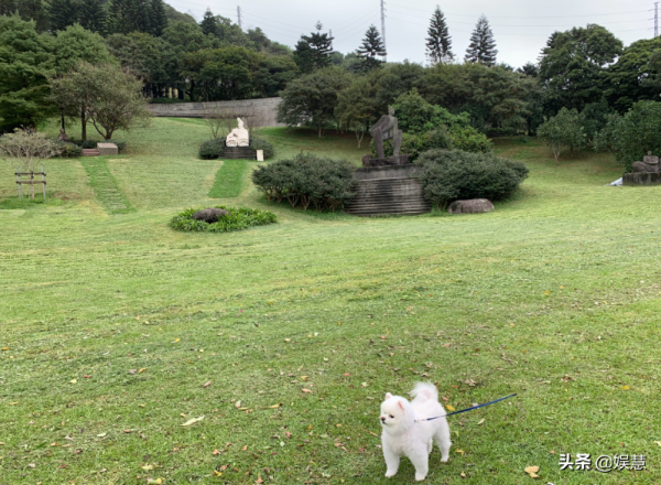 高以翔去世將滿兩年，金寶山墓園完工在即，墓前雕像首次曝光