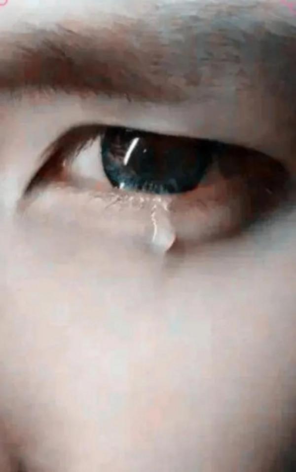 我的同學,何時再見? 我的同學,何時再見?