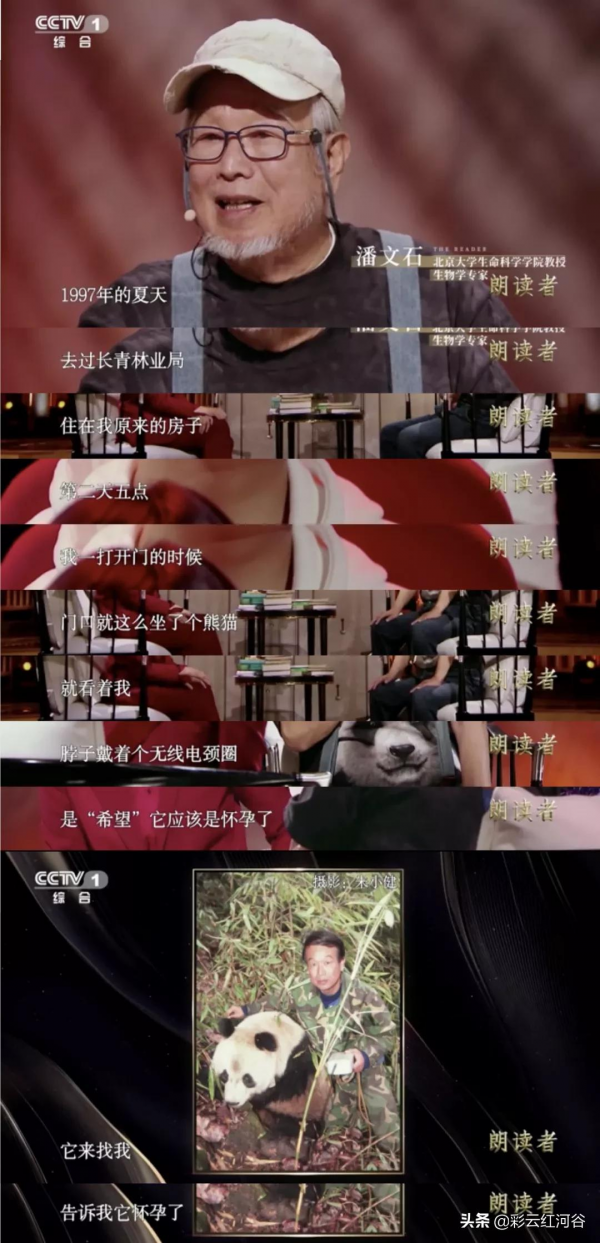 朗讀者潘文石:“我願意荒野終老” 朗讀者潘文石:“我願意荒野終老”