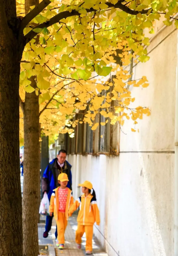 【玩轉懷柔】2021懷柔賞秋攻略出爐！一個字，絕！