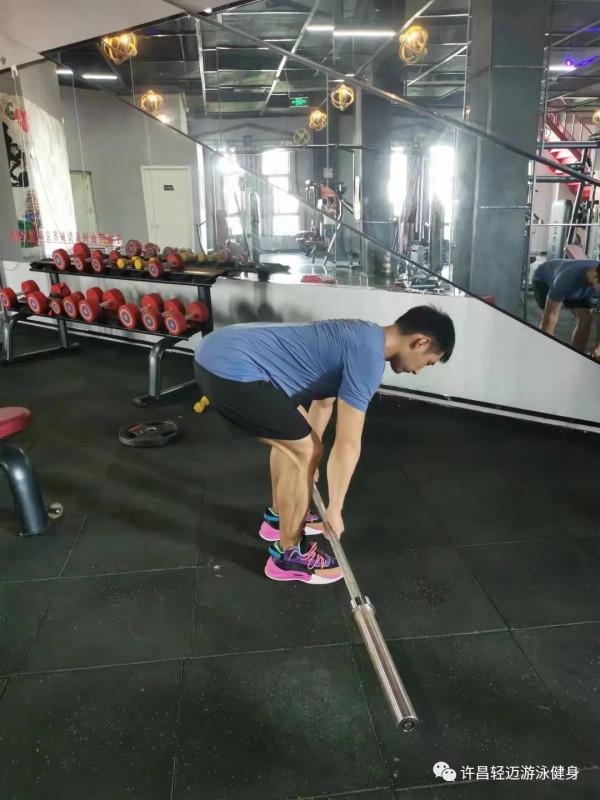 背部的訓練動作有哪些?該怎麼做 背部的訓練動作有哪些?該怎麼做