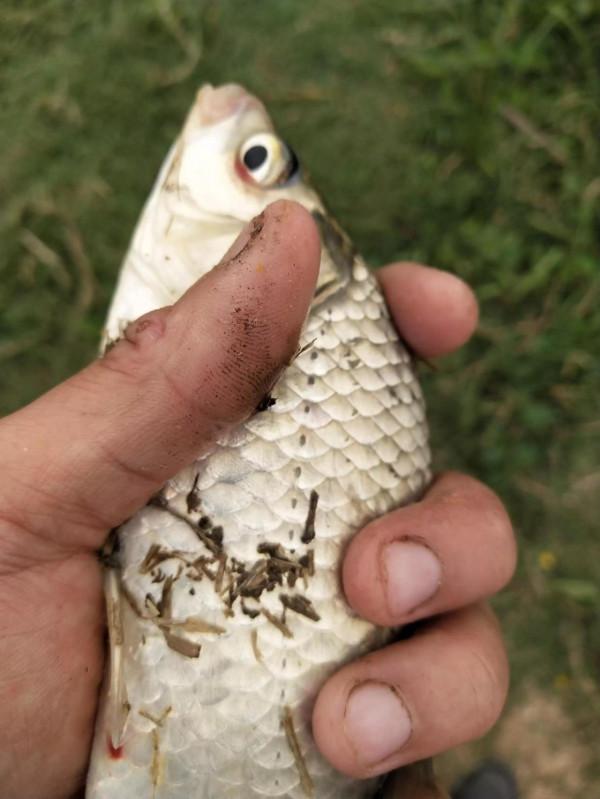 玩玩小短杆，輕鬆隨意