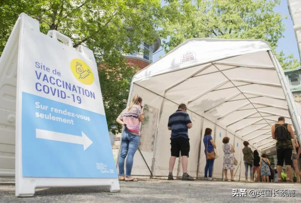 輝瑞公佈口服新冠藥：有效率89%！科學家發現新冠高風險基因訊號