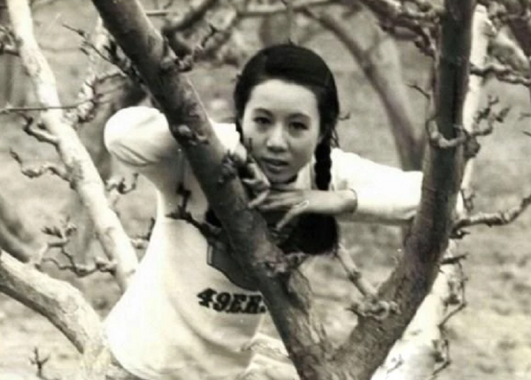 韓國&OpenCurlyDoubleQuote;奶奶&rdquo;年輕照：都是美人坯子，有的多年未變，有的已認不出