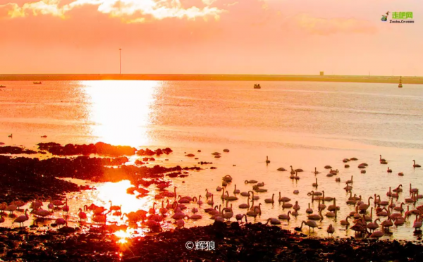 中國最美沿海公路，坐擁5大海島，一路駛向大海，山海風光絕美
