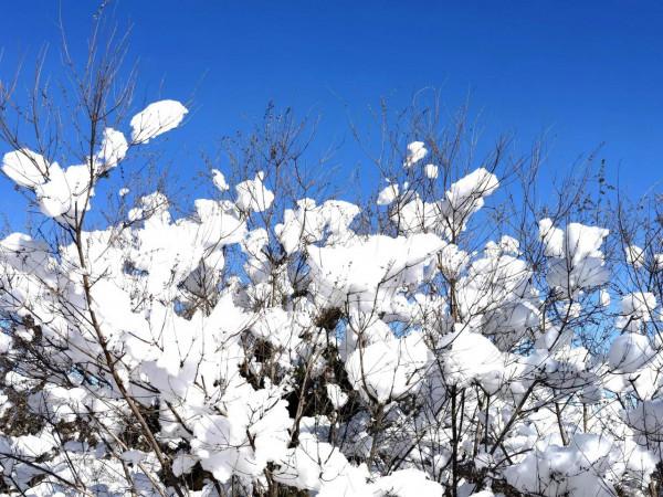 佛教聖地_雲巖聖境