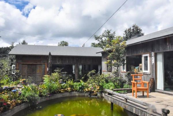 無量山櫻花谷：世外桃源，人間仙境