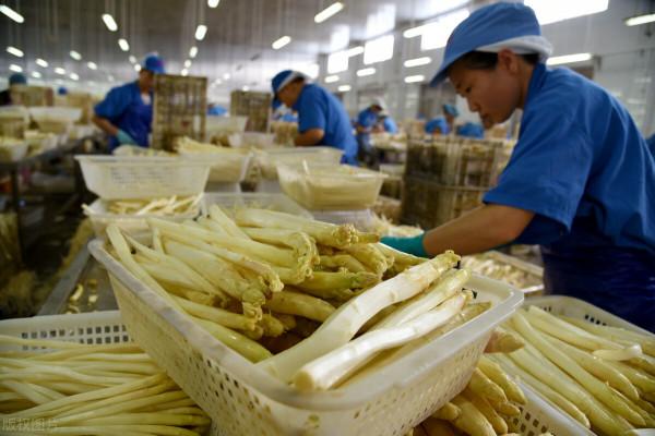 「生鮮行業」冷鏈供應鏈該如何打造? 「生鮮行業」冷鏈供應鏈該如何打造?