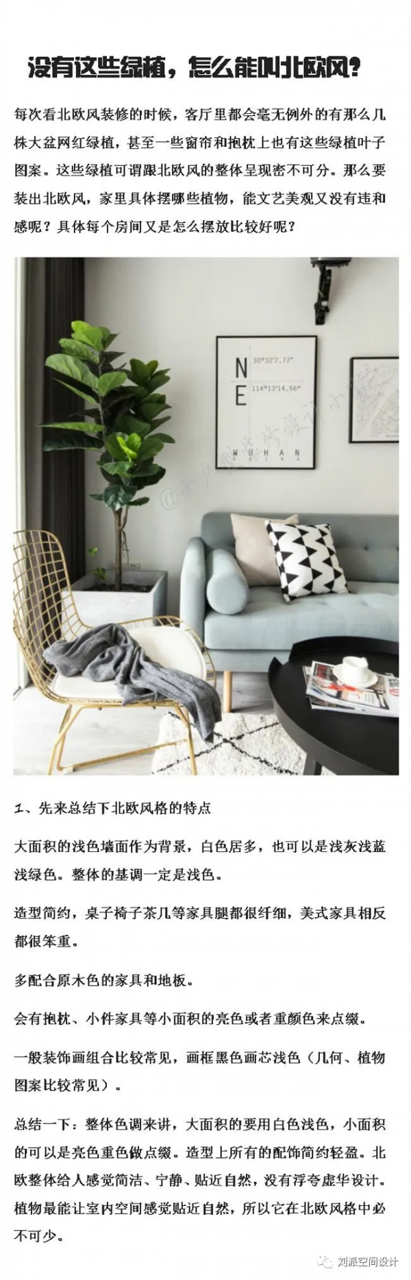 沒有這些綠植，怎麼能叫北歐風？