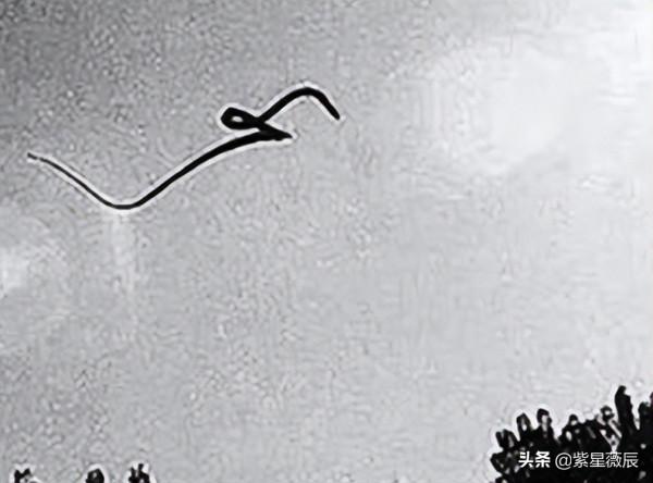 王牌飛行員奇遇:駕駛直升機在空中遭遇15米巨蟒,真相成謎 王牌飛行員奇遇:駕駛直升機在空中遭遇15米巨蟒,真相成謎