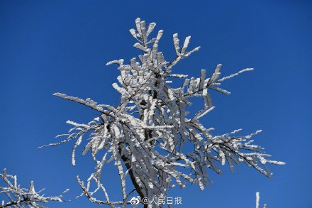 請收好全國賞霧凇地圖