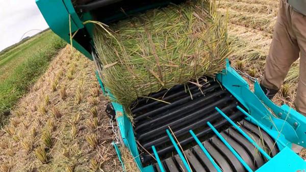 日本每年有100萬噸稻草的需求，我們卻把稻草燒掉，為什麼呢？