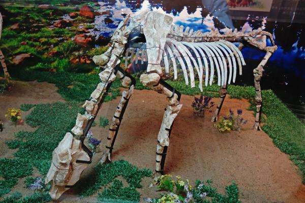 遊～山西地質博物館