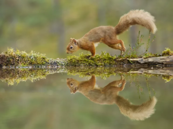 暢遊生物多樣性,看英國最新可持續旅遊專案 暢遊生物多樣性,看英國最新可持續旅遊專案