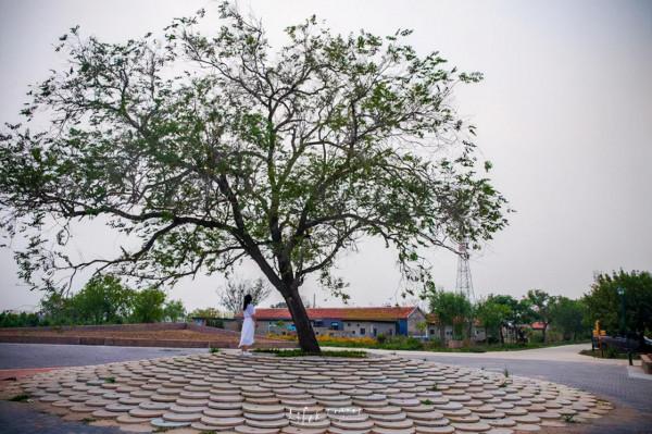 第一站,黃河入海口! 第一站,黃河入海口!