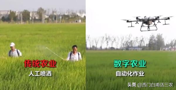 江蘇農民陳大爺1人管理1400多畝稻田,快看看他是怎麼做到的? 江蘇農民陳大爺1人管理1400多畝稻田,快看看他是怎麼做到的?