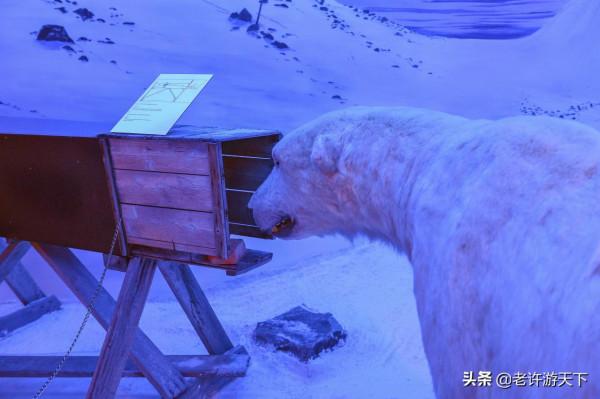 叩開北極之門,品嚐世界最北端的啤酒,觀北極大教堂的午夜音樂會 叩開北極之門,品嚐世界最北端的啤酒,觀北極大教堂的午夜音樂會