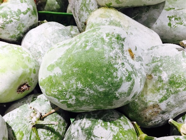 冬瓜加荷葉，用來煮水喝，清除黑臭宿便，腸道健康便秘少