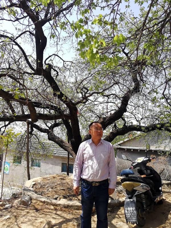 再上徂徠山 再上徂徠山