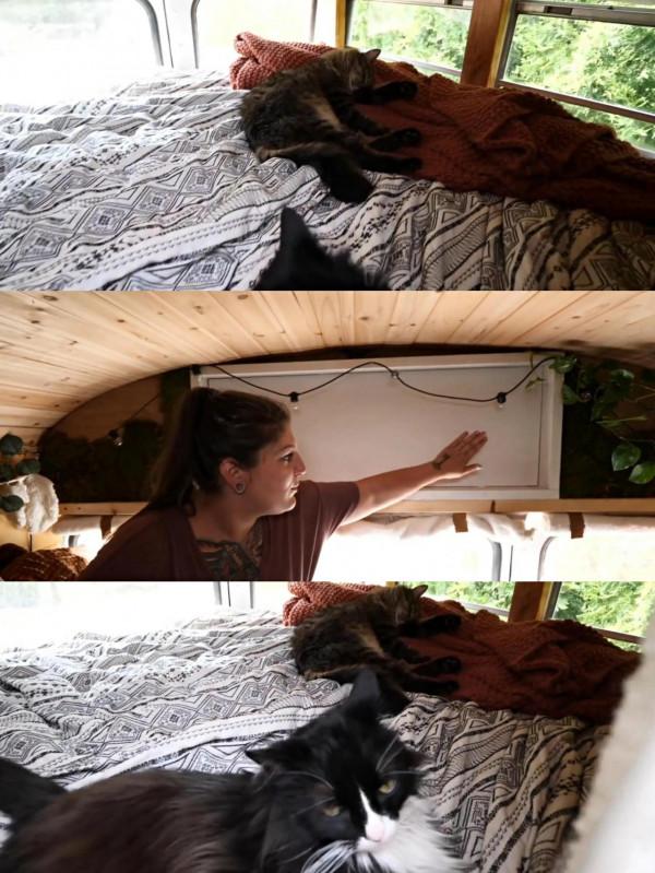 美國夫妻不願當房奴,花2千美元買輛廢棄大巴改裝成房子 美國夫妻不願當房奴,花2千美元買輛廢棄大巴改裝成房子