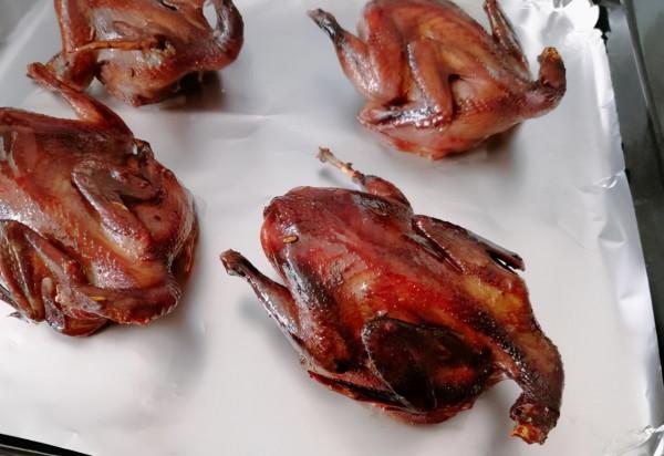 80後四川小夥養殖南非香鶉雁年收入50多萬