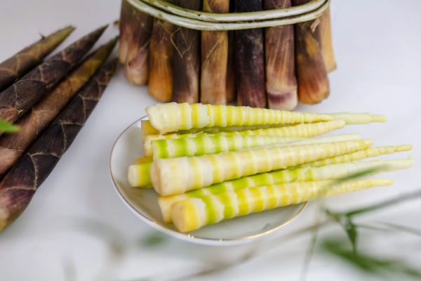 雷公山野生八月筍搶鮮上市,肉質細膩,美味又營養 雷公山野生八月筍搶鮮上市,肉質細膩,美味又營養