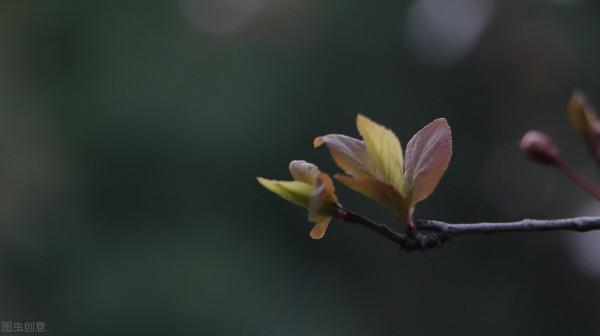 成年人的修養:不說、不諫、不咎 成年人的修養:不說、不諫、不咎