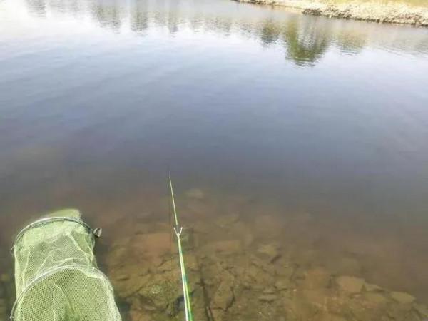 仲秋時分釣魚,從釣魚諺語中看釣點的選擇技巧 仲秋時分釣魚,從釣魚諺語中看釣點的選擇技巧