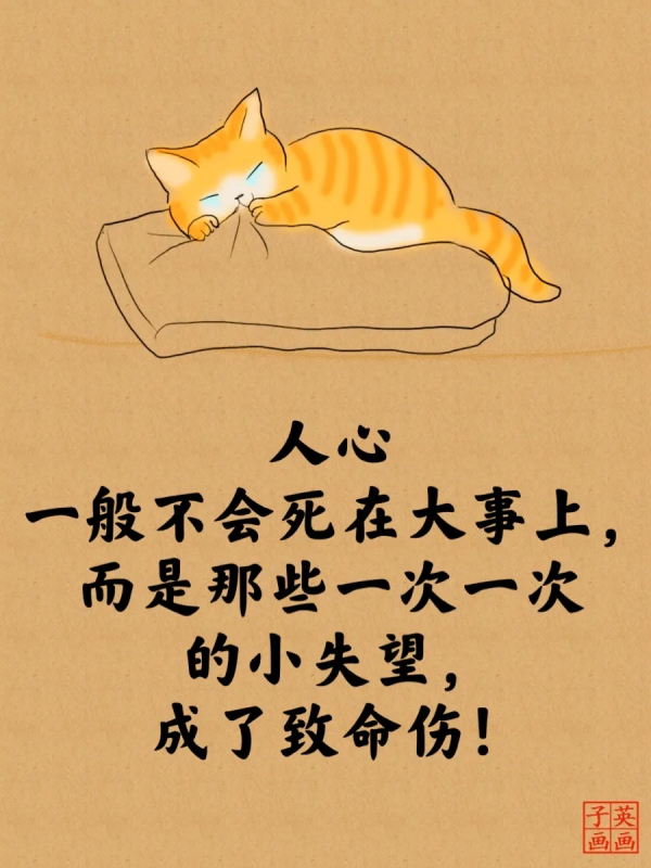 2022經典睿智的貓言貓語人生哲理大全