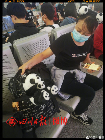 離開成都的遊客人手一隻熊貓？