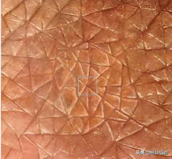 讓人感到震撼的圖片