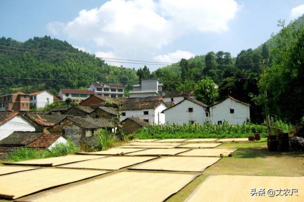 城市年輕人進村,農村年輕人進城,未來,城鄉人口互換將成趨勢 城市年輕人進村,農村年輕人進城,未來,城鄉人口互換將成趨勢