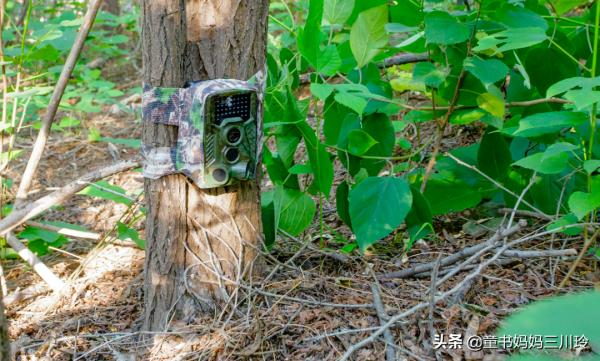 別人家的自然達人爸爸,光看照片都養眼啊 別人家的自然達人爸爸,光看照片都養眼啊