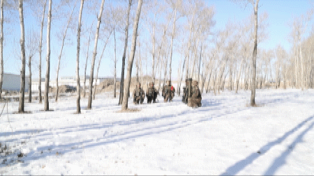 踏飛雪礪精兵 真抓實訓鑄利刃 踏飛雪礪精兵 真抓實訓鑄利刃