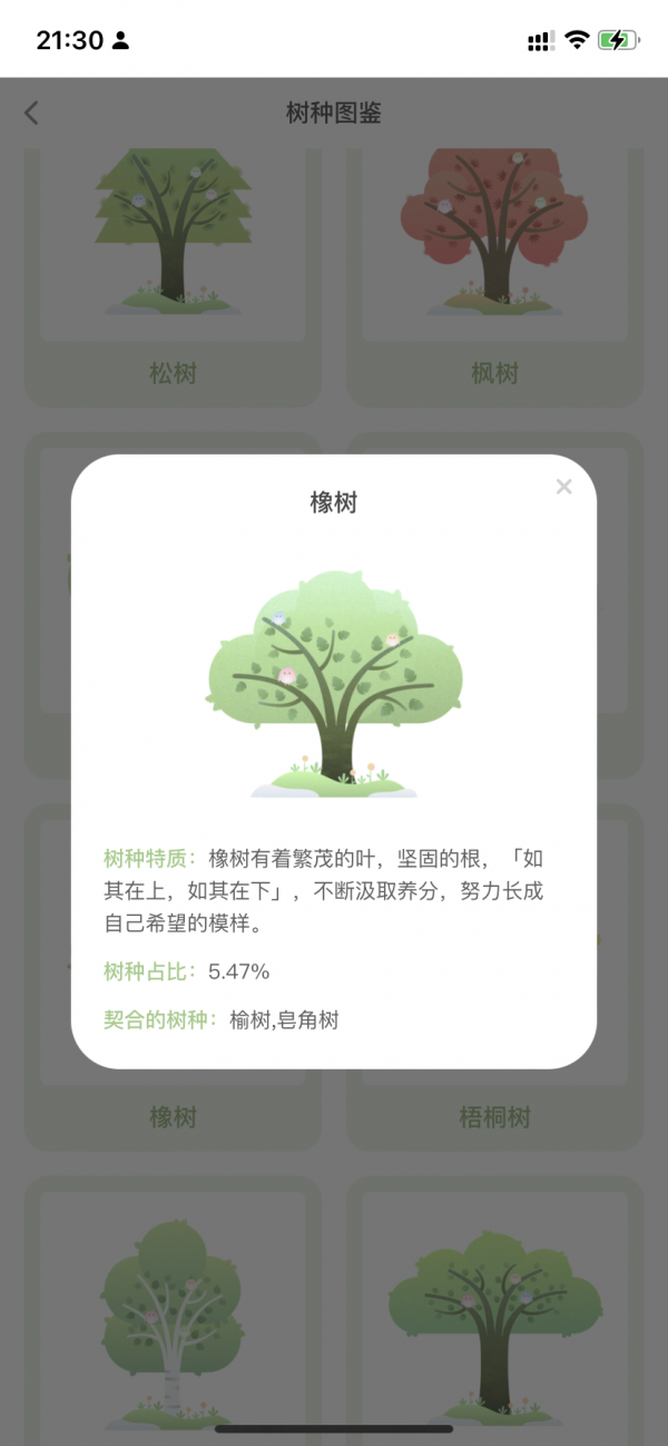 TreeTalk 產品分析報告：看見彼此，看見女性敘事力量