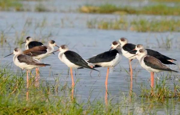 海南最美的8大海灣,太美了 海南最美的8大海灣,太美了