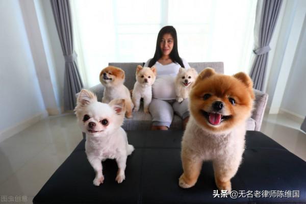 從“男不養貓，女不養狗”民間忌諱看養狗的真實禍患