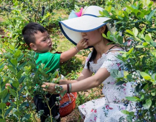 有些食物,能夠迅速提升人的免疫力,抵禦普通感冒和流行感冒—上 有些食物,能夠迅速提升人的免疫力,抵禦普通感冒和流行感冒—上