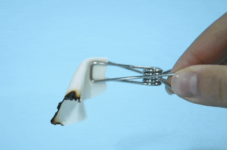 香雲博物志 | 如何鑑別真假蠶絲? 香雲博物志 | 如何鑑別真假蠶絲?