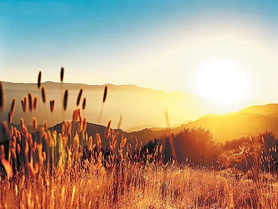 子夜薦讀 | 李清照筆下的秋天，美到極致！