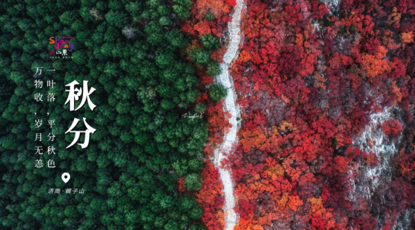 用二十四節氣開啟山東，齊風魯韻美如畫