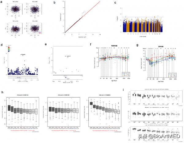 歷時十年，浙大北大學者在漢族男性人群性取向的遺傳機制獲突破