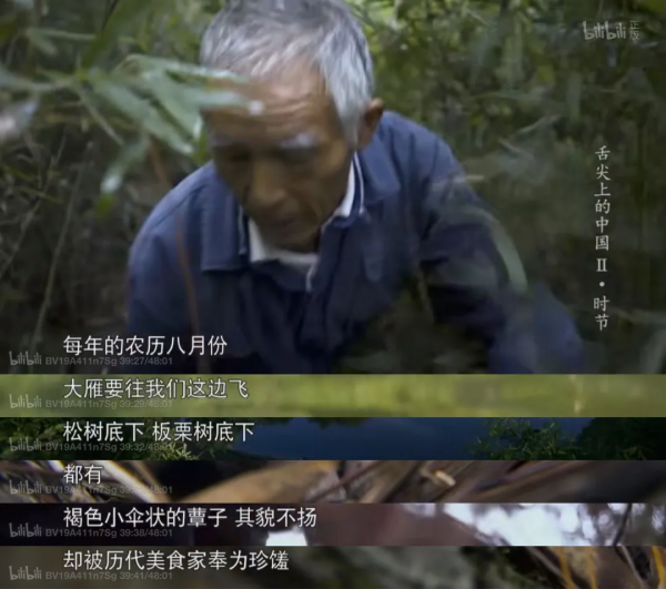 江浙滬最寶藏的溫泉小城,週末來度個假正合適 江浙滬最寶藏的溫泉小城,週末來度個假正合適