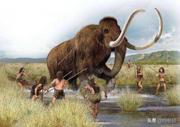 長毛象是什麼時候滅絕的？新研究顛覆了先前的理論