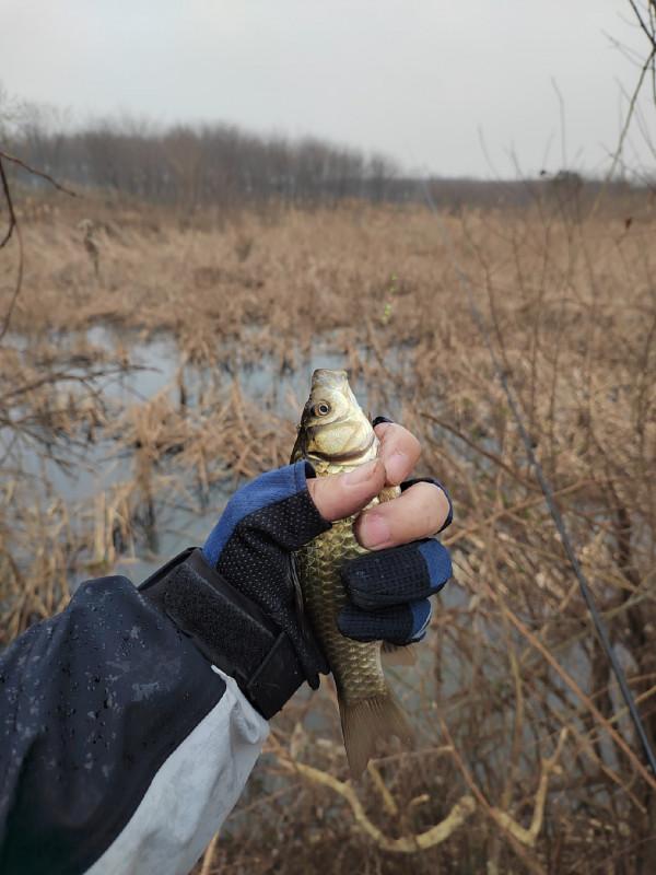 這就是菜地的魅力，夠野、夠暴力