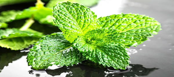 中藥零食別隨便吃，根據體質講究宜忌