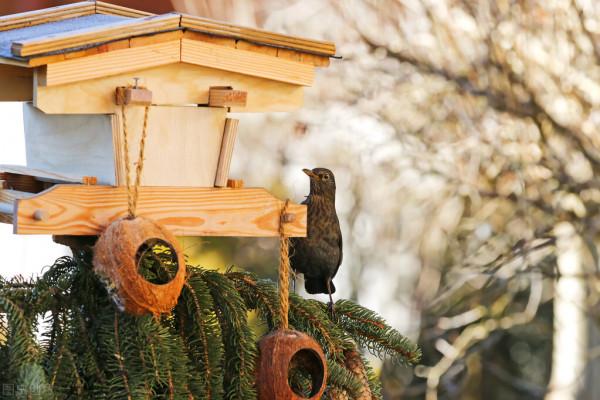 “慎獨”是提升個人道德修養的重要方法 “慎獨”是提升個人道德修養的重要方法