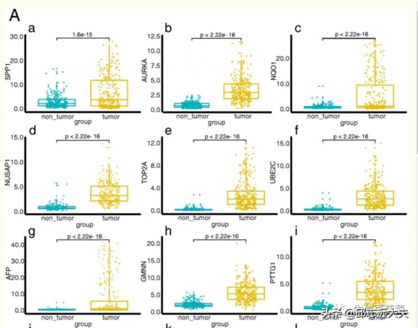 基於 GEO 和 TCGA 資料庫的肝癌早期診斷生物標誌物和預後標誌物鑑定