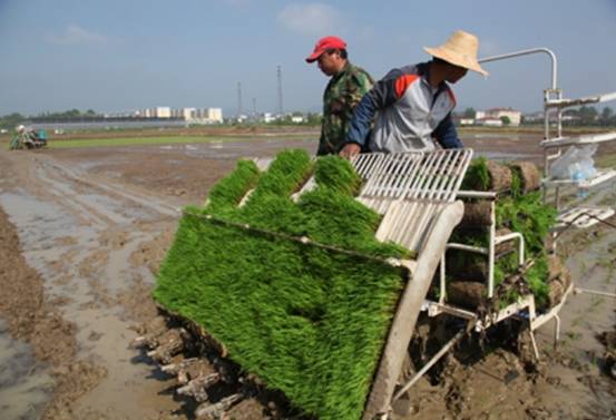 法國糧食自給率全球第一,美國排名第五,中國為啥不在榜單裡? 法國糧食自給率全球第一,美國排名第五,中國為啥不在榜單裡?